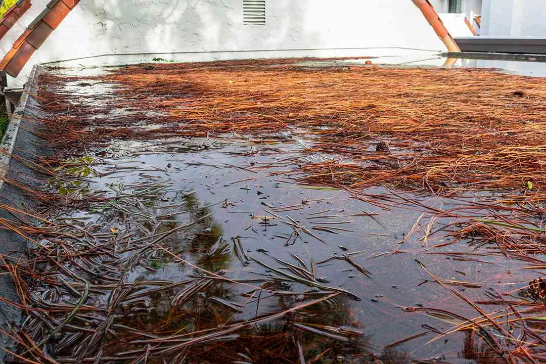 Ponding Water Roof Repair in Lee's Summit, MO